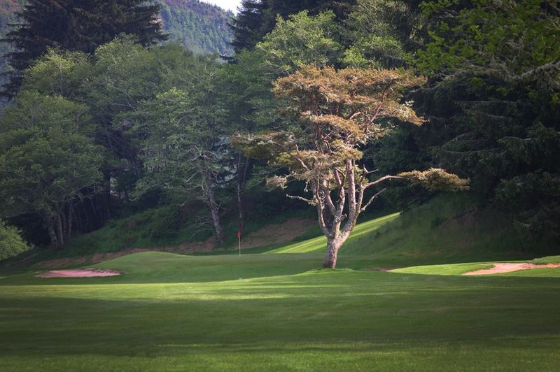 Sunset Bay Golf Course Perklee