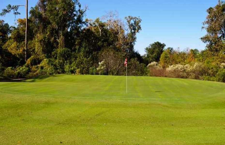 University of Florida Golf Course Perklee