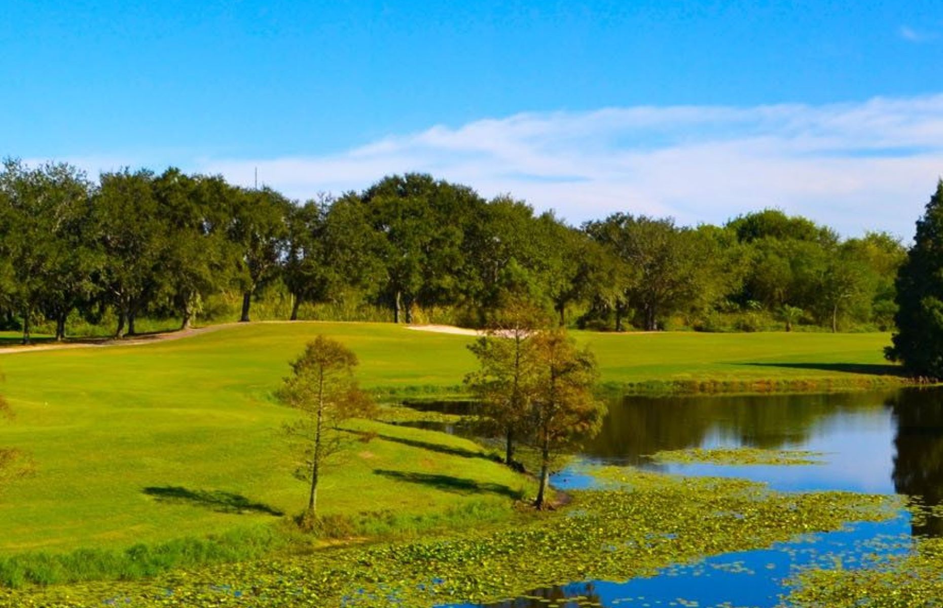 Mangrove Bay Golf Course Perklee