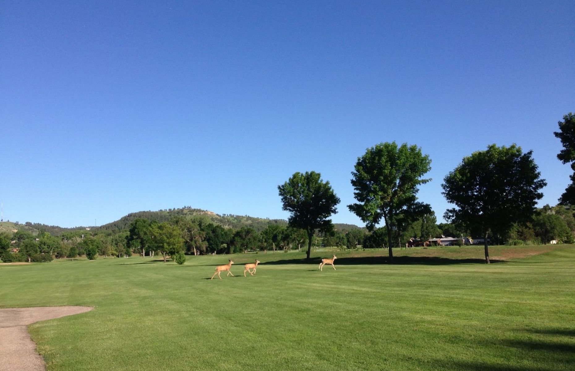 Meadowbrook Golf Course Perklee