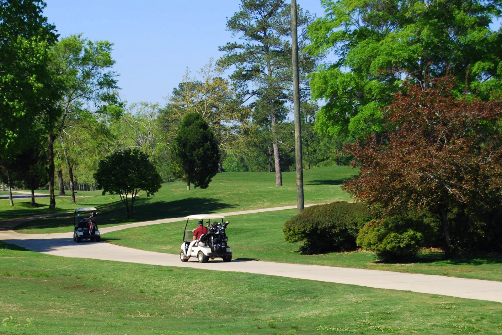 Oak Mountain State Park Golf Course Perklee