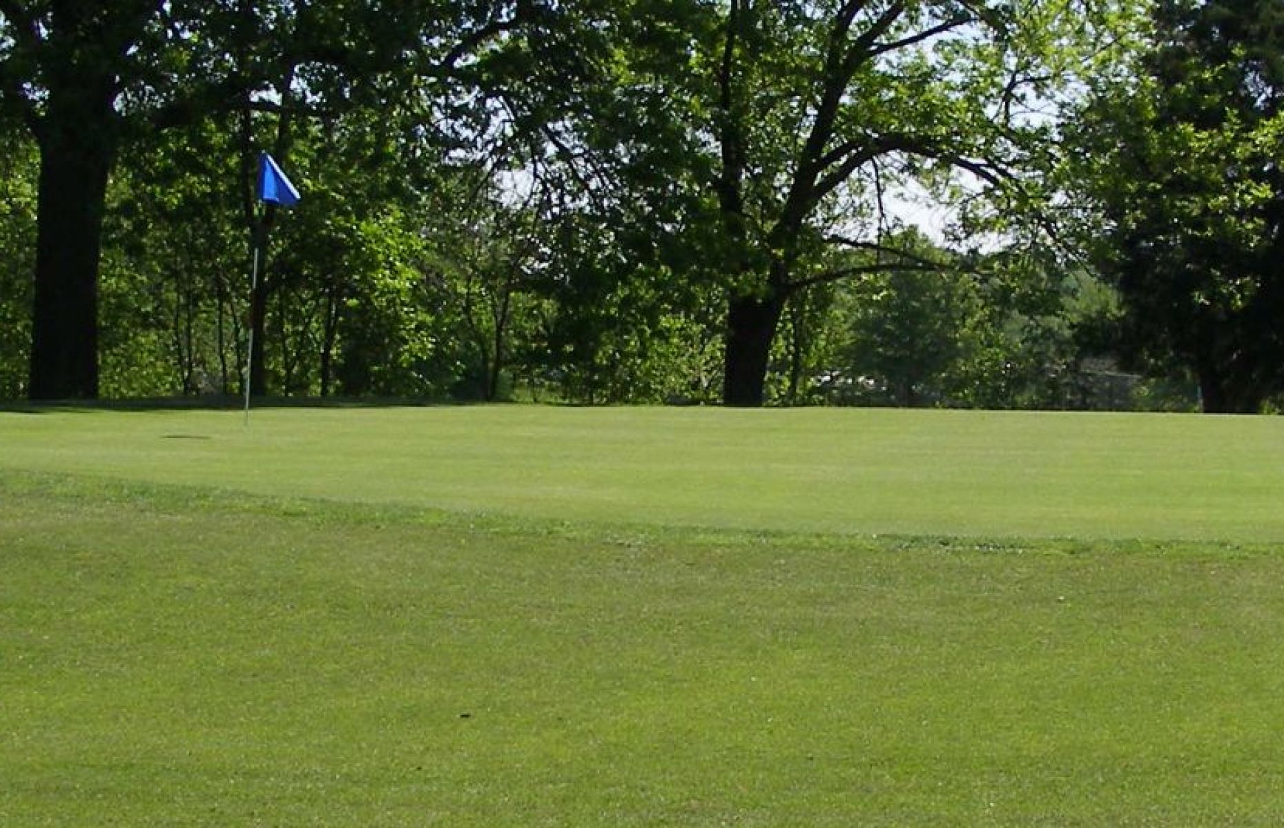 Ruth Park Golf Club Perklee