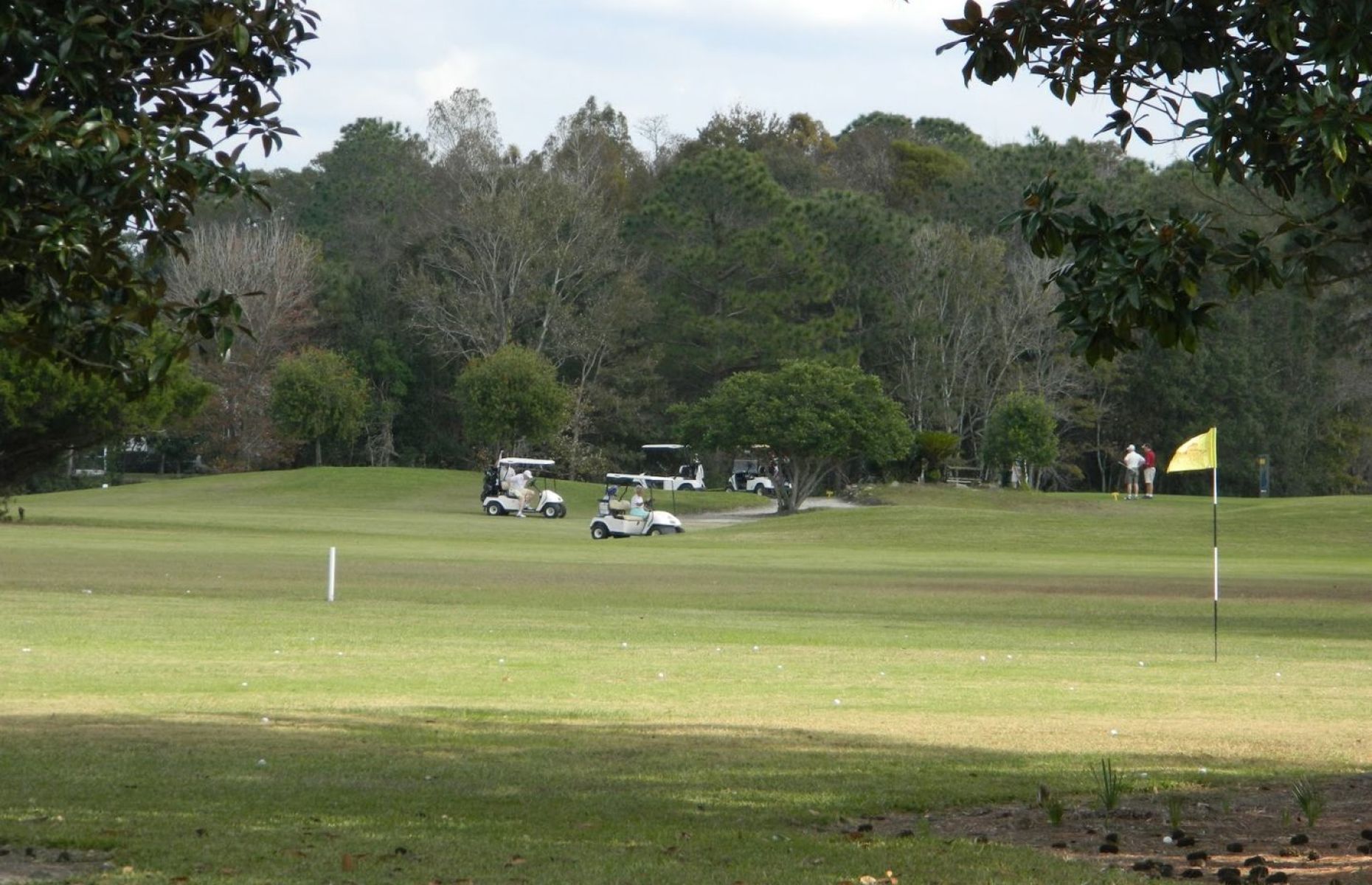 Summertree Golf Course Perklee