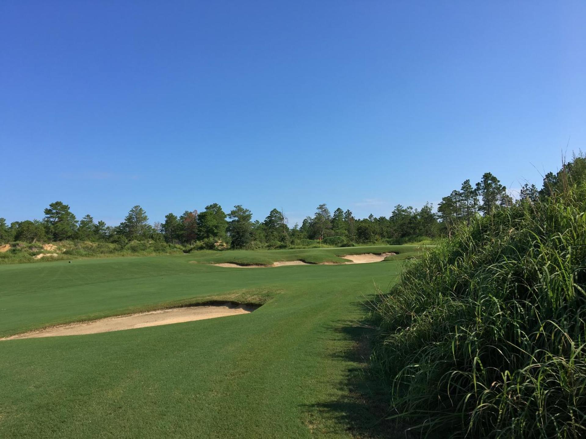 Windswept Dunes Golf Club Perklee